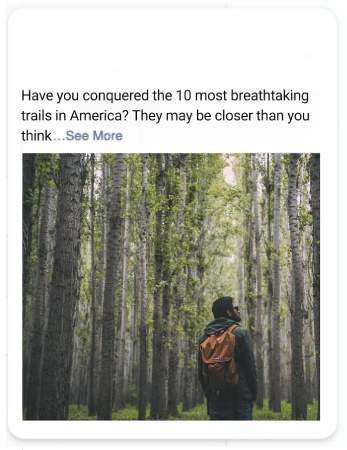 A man wearing a backpack is standing in a forest that has tall trees and his back is facing the camera